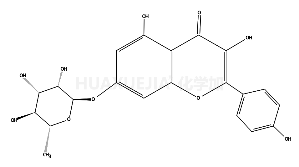 Kaempferol 7-O-rhamnoside