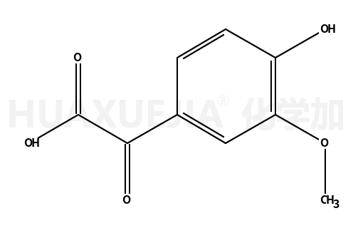 阿魏酸杂质20