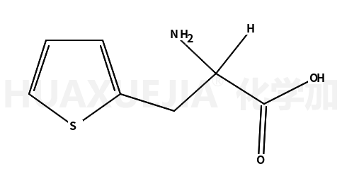 3-(2-噻吩基)-DL-丙氨酸