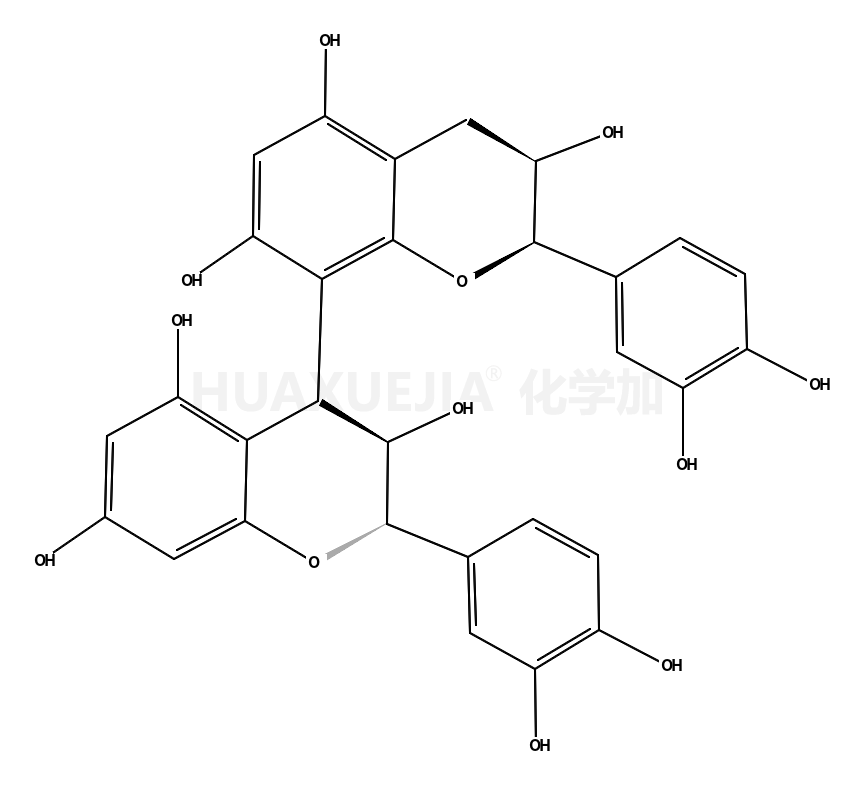 Procyanidin B1