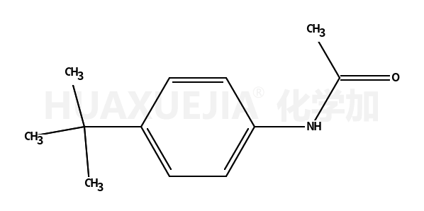 4-叔丁基乙酰苯胺
