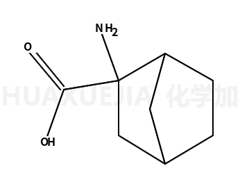 2-氨基-2-去甲菠烷羧酸