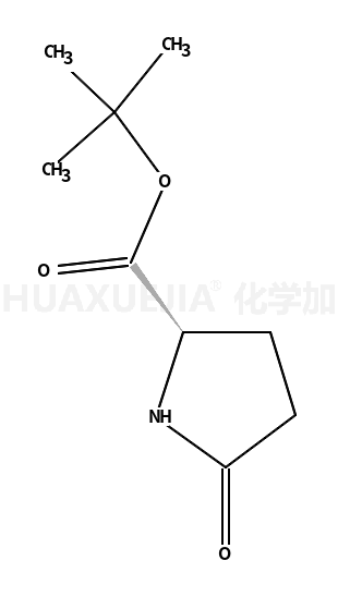 D-焦谷氨酸叔丁酯