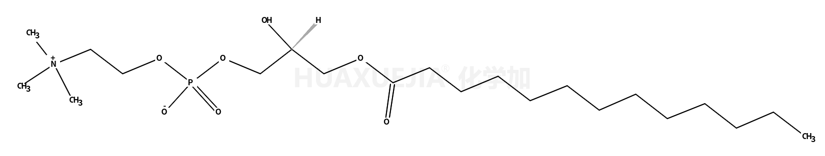 1-十三烷酰基-2-羟基-sn-甘油-3-磷酸胆碱