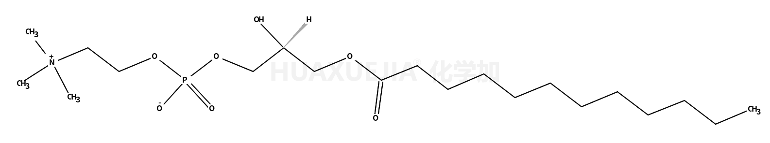 1-LAUROYL-2-HYDROXY-SN-GLYCERO-3-PHOSPHOCHOLINE