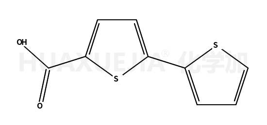2,2-联噻吩-5-羧酸