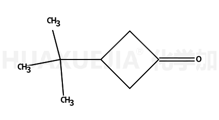 3-(1,1-二甲基乙基)-环丁酮