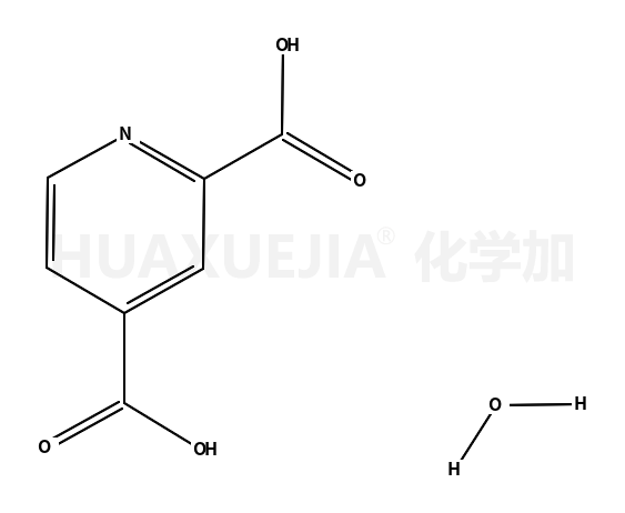2,4-吡啶二羧酸 一水合物