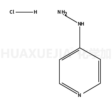 4-肼基吡啶盐酸盐