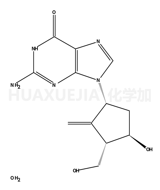 Entecavir Hydrate