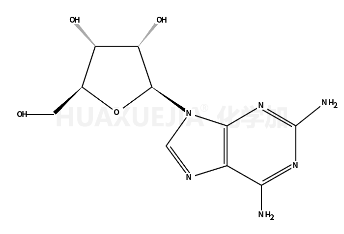 2-氨基腺嘌呤核苷