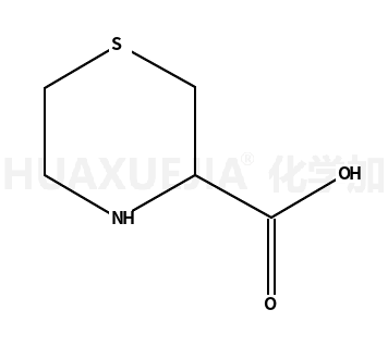 3-硫代吗啉羧酸