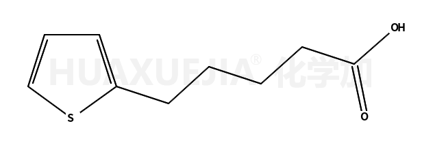 5-(2-噻吩基)戊酸