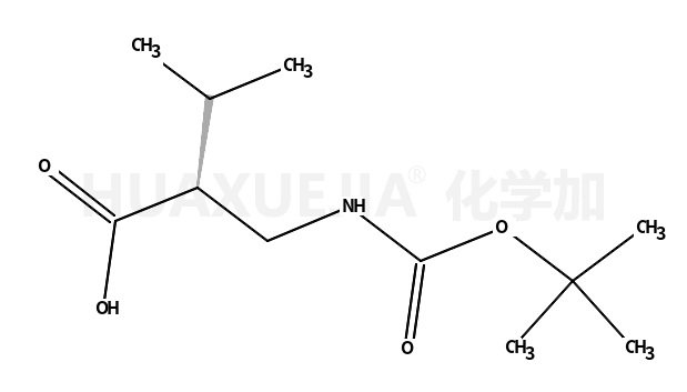 Boc-(S)-2-(氨基甲基)-3-甲基丙酸