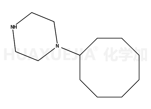 (1-环辛基)哌嗪