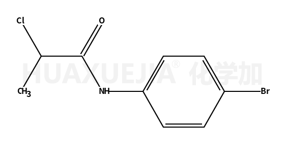 N-(4-溴苯基)-2-氯丙酰胺