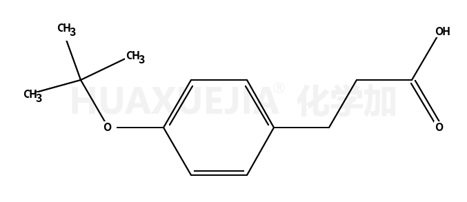 3-(4-叔丁氧基苯基)丙酸