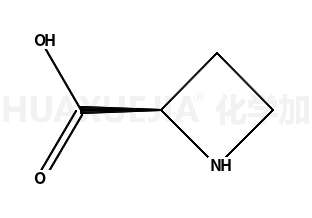 L-吖啶-2-羧酸