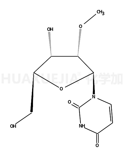 2'-O-methyluridine