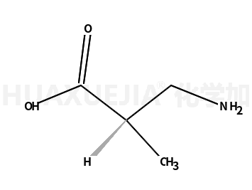 (R)-3-氨基-2-甲基丙酸