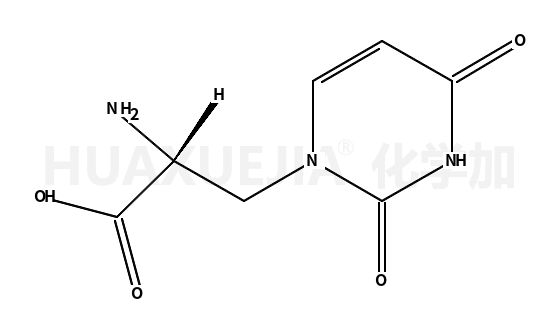 尿嘧啶基丙氨酸