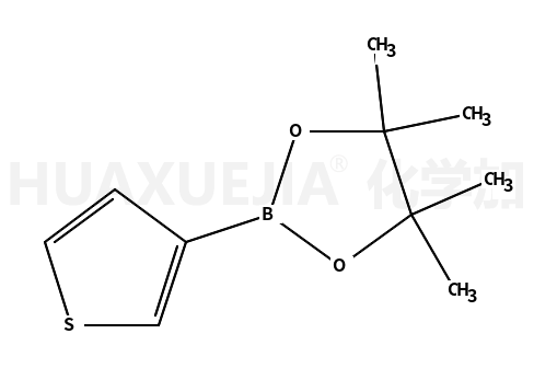 噻吩-3-硼酸频哪醇酯