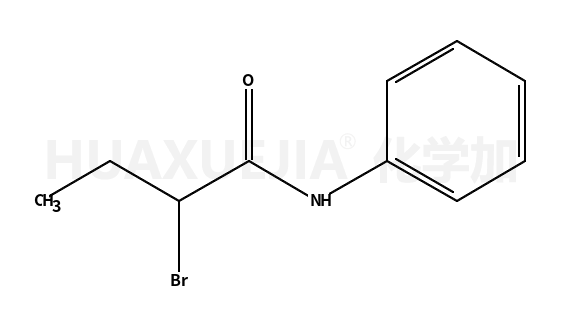 2-溴-N-苯基丁酰胺