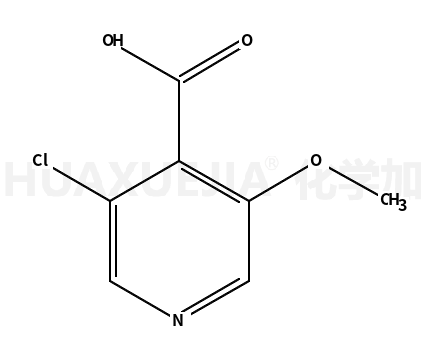 3-氯-5-甲氧基异烟酸