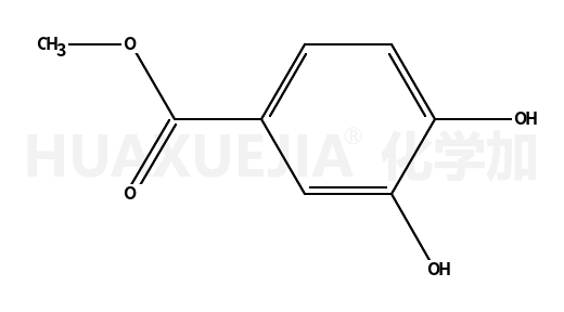 3,4-二羟基苯甲酸甲酯