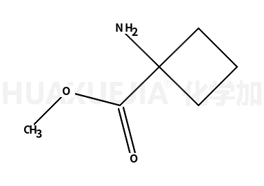 1-氨基环丁甲酸甲酯