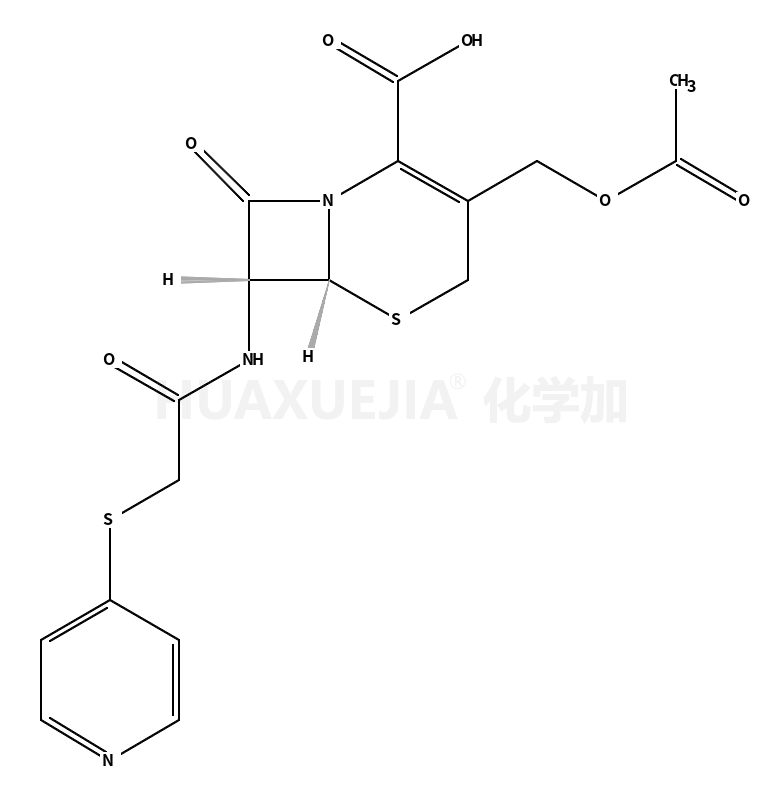 cephapirin