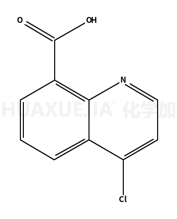 4-氯喹啉-8-羧酸