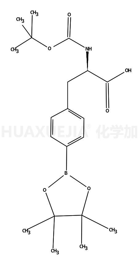 (S)-2-(叔丁氧羰基氨基)-3-(4-(4,4,5,5-甲基-1,3,2-二氧硼戊环-2-基)苯基)丙酸