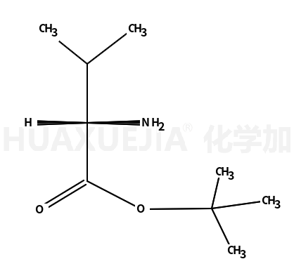 D-缬氨酸叔丁酯