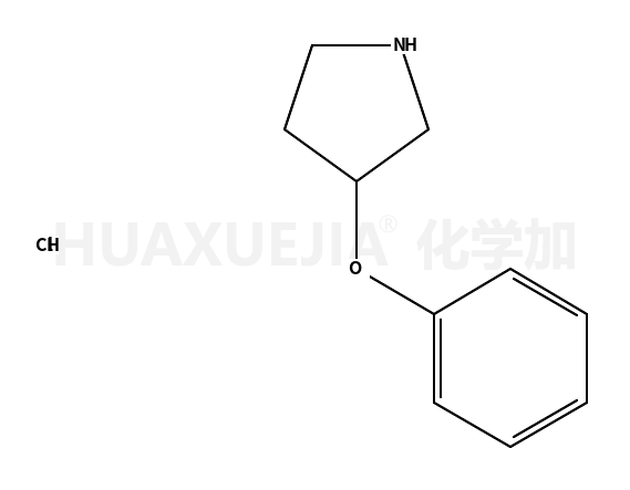 3-苯氧吡咯烷盐酸盐