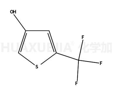 3-羟基-5-三氟甲基噻吩