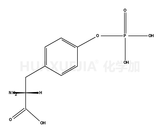 O-Phospho-L-tyrosine