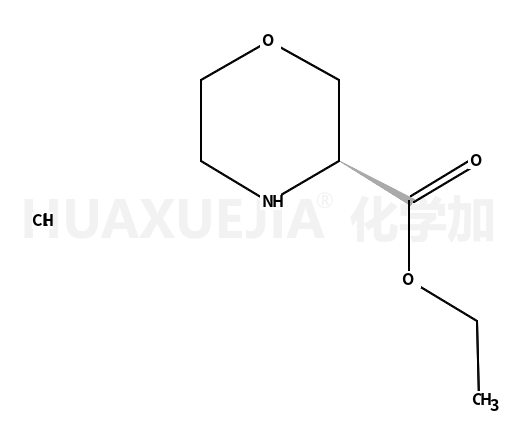 吗啉-3-羧酸-(S)-乙酯盐酸盐