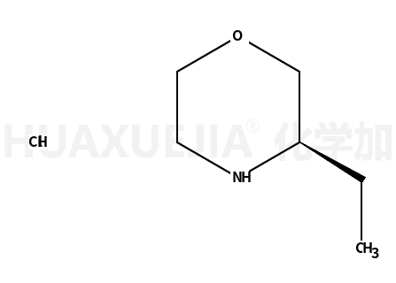 (S)-3-乙基吗啉盐酸盐