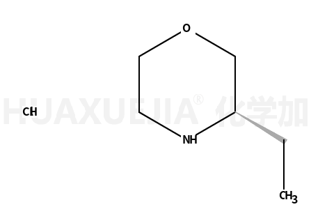(R)-3-乙基吗啉盐酸盐
