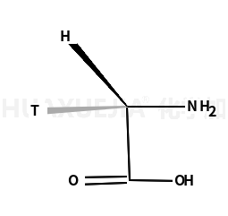 氨基乙酸-(2-3H )