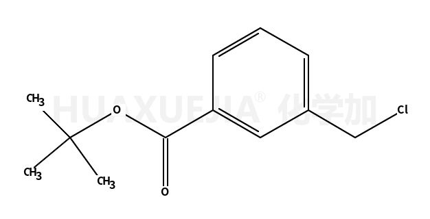间氯甲基苯甲酸叔丁酯