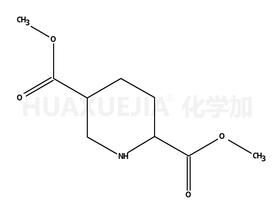 二甲基哌啶-2,5-二羧酸