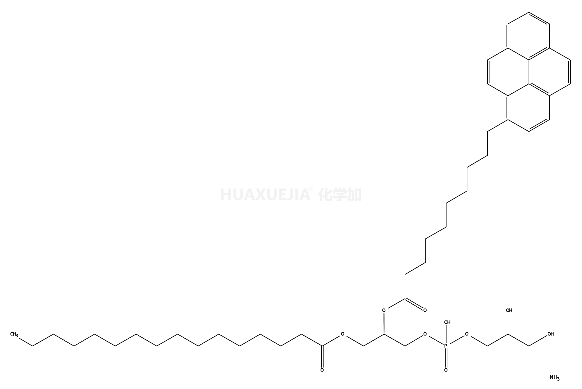 β-py-C<sub>10</sub>-PG  [1-Hexadecanoyl-2-(1-pyrenedecanoyl)-sn-glycero-3-phosphoglycerol, ammonium salt]