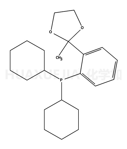 2′-(Dicyclohexylphosphino)acetophenone ethylene ketal,97%