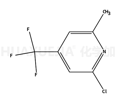 2-氯-6-甲基-4-(三氟甲基)吡啶