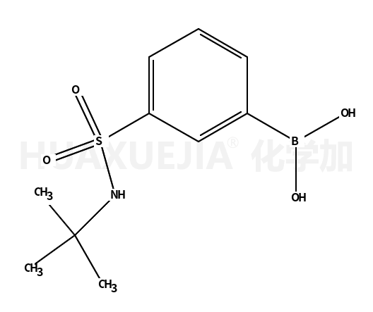 3-硼苯磺酰胺叔丁酯