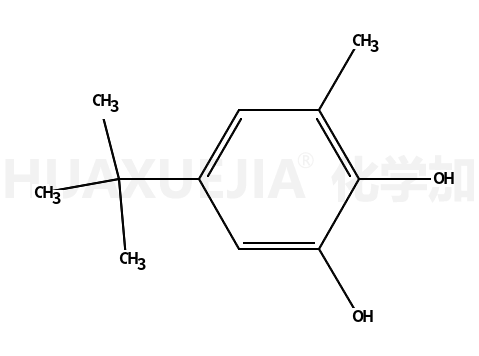 5-叔丁基-3-甲基-1,2-苯二酚