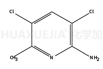 2-氨基-3,5-二氯-6-甲基吡啶