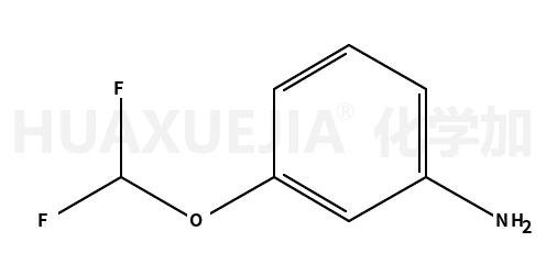 3-二氟甲氧基苯胺